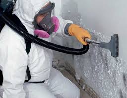 Best Comprehensive Air Testing for Mold Contaminants  in Royersford, PA